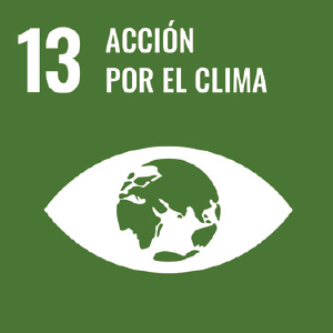 ods13
