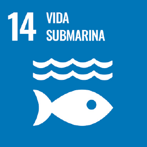 ods14